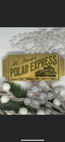 Polar Express Ticket